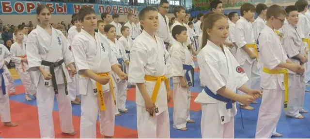 Успехи благовещенских каратистов в Казани