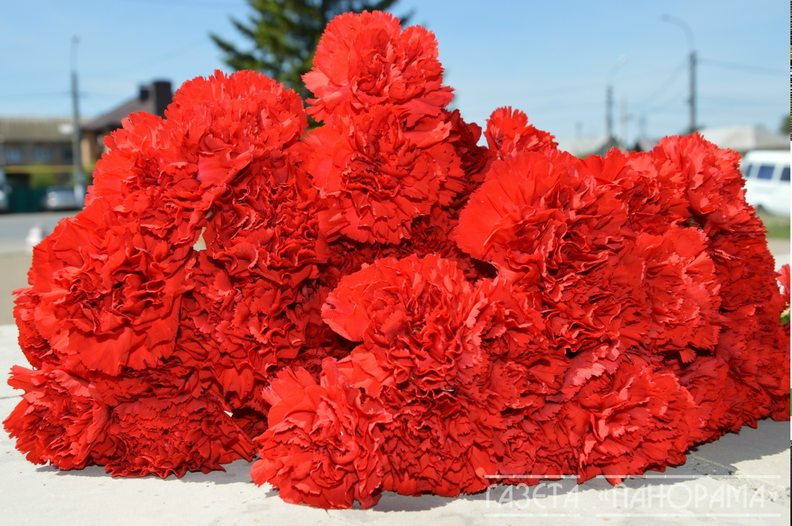 В Благовещенске уборщица погибла под колёсами погрузчика