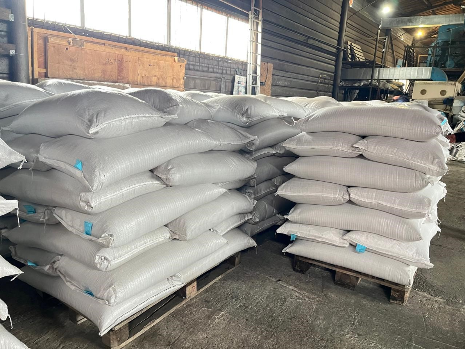 Экспорт семян из Башкортостана вырос вдвое