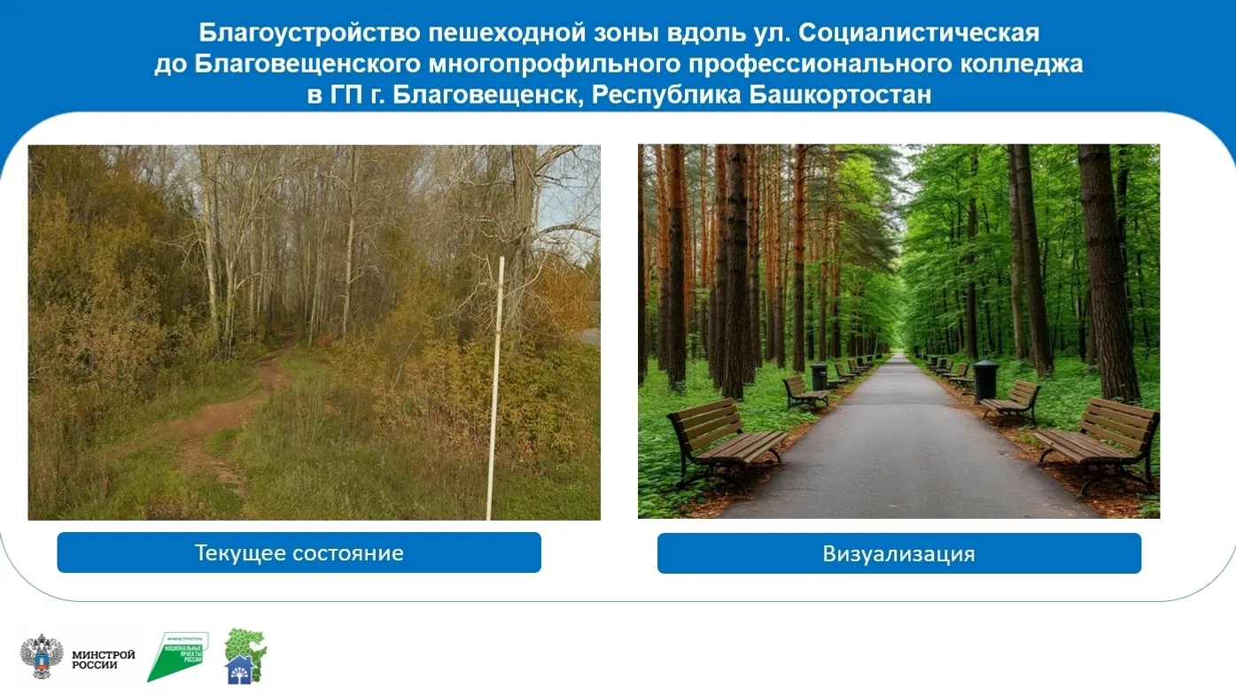 Благовещенцы активно выбирают, что изменится в районе в 2027 году