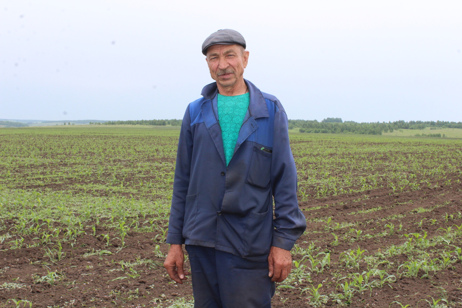 Аграрии Благовещенского района завершили посевную кампанию