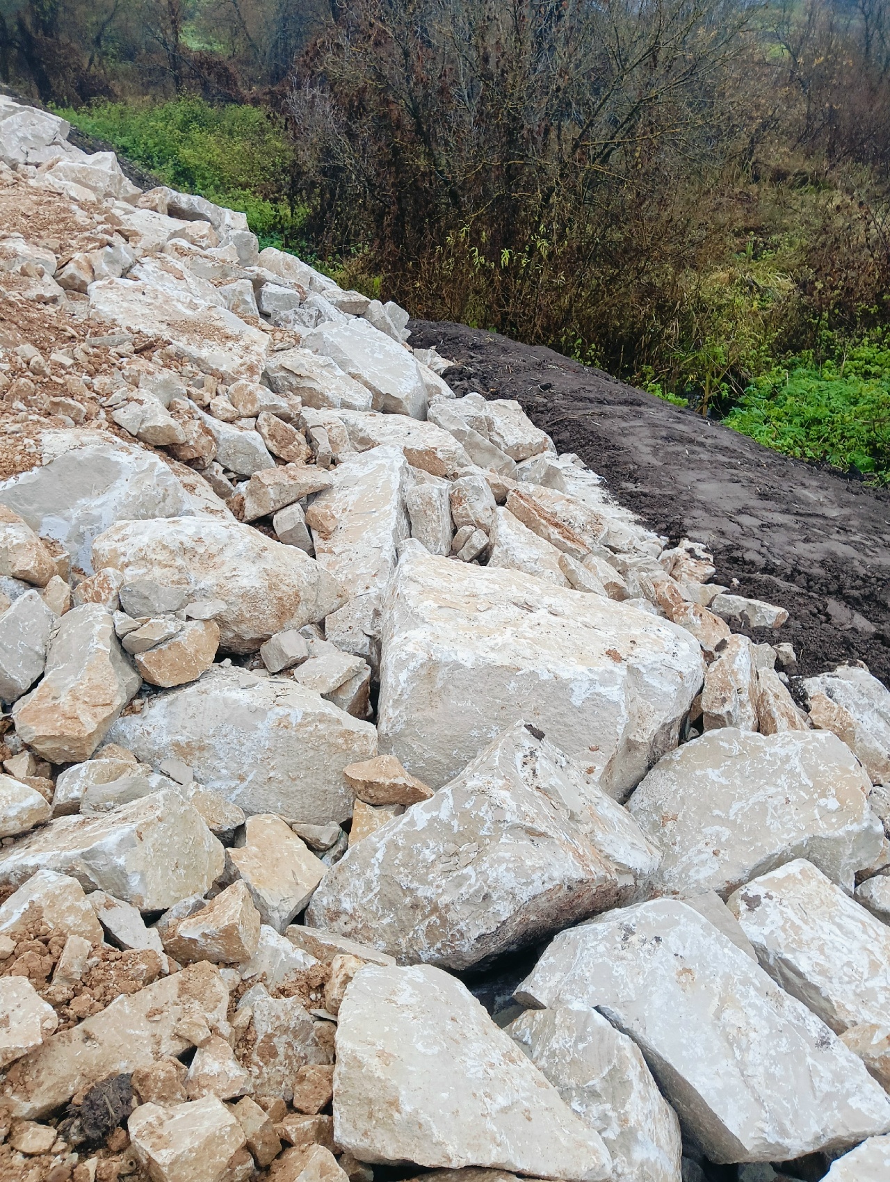 Программа поддержки местных инициатив в действии