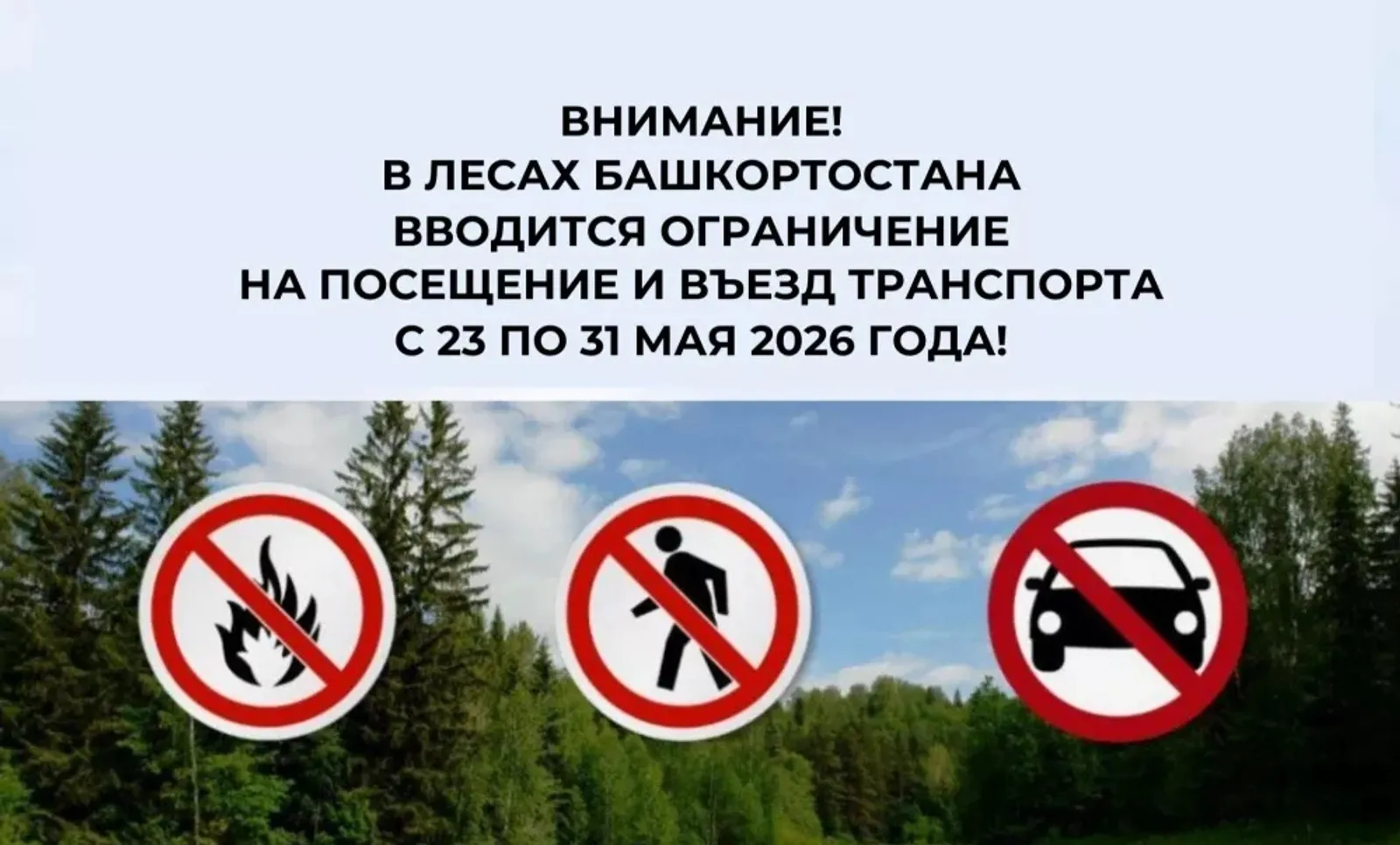 В лесах Башкортостана вводится ограничение на посещение и въезд транспорта