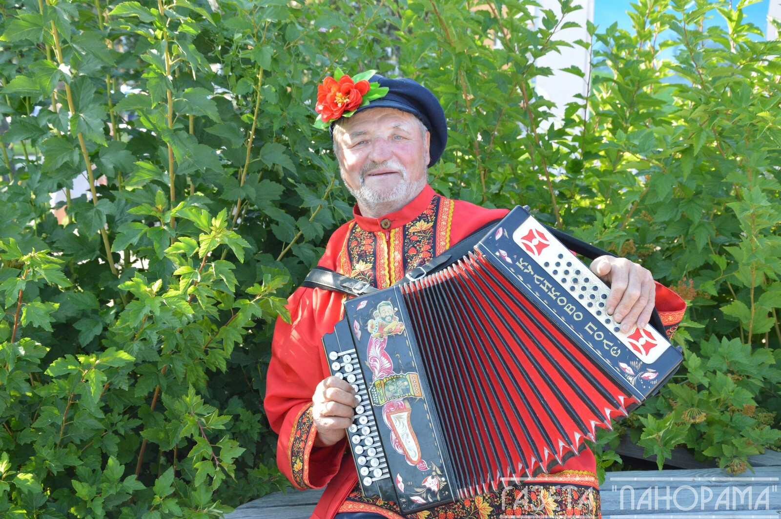 Звучит гармонь - звучит душа