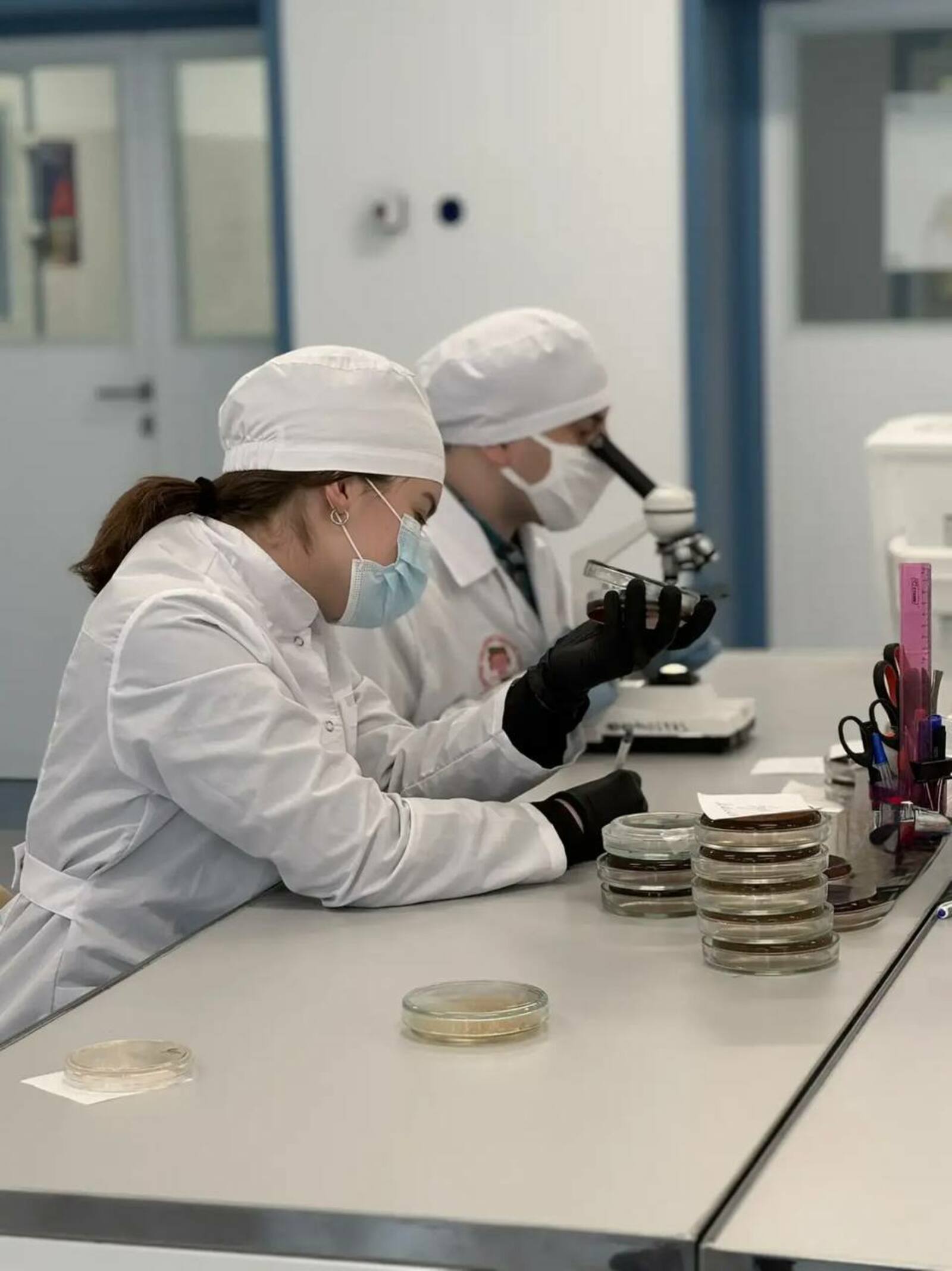 Создали тест-систему для быстрого поиска «бактерии стройности» у человека