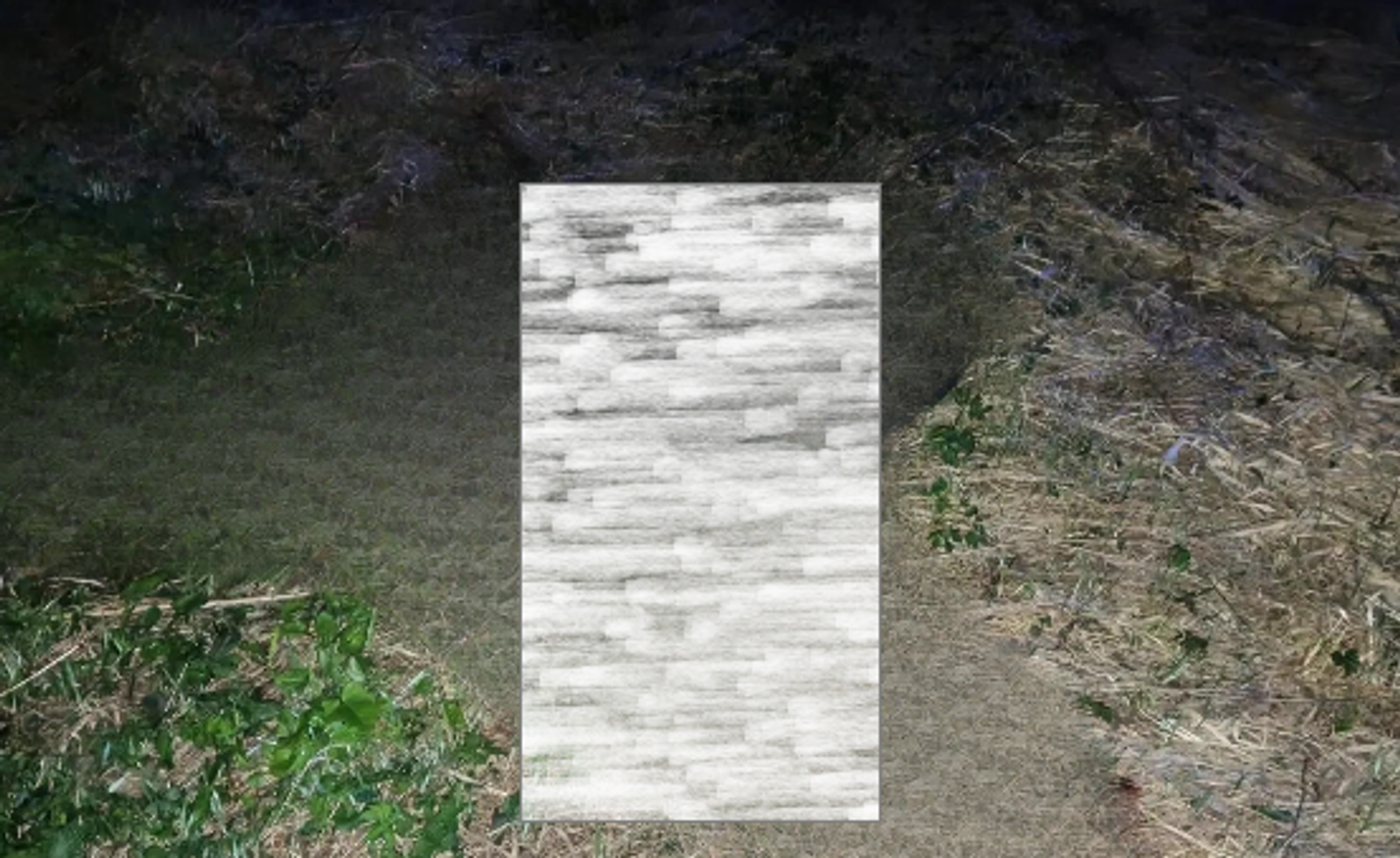 В ДТП в Благовещенском районе погиб лось