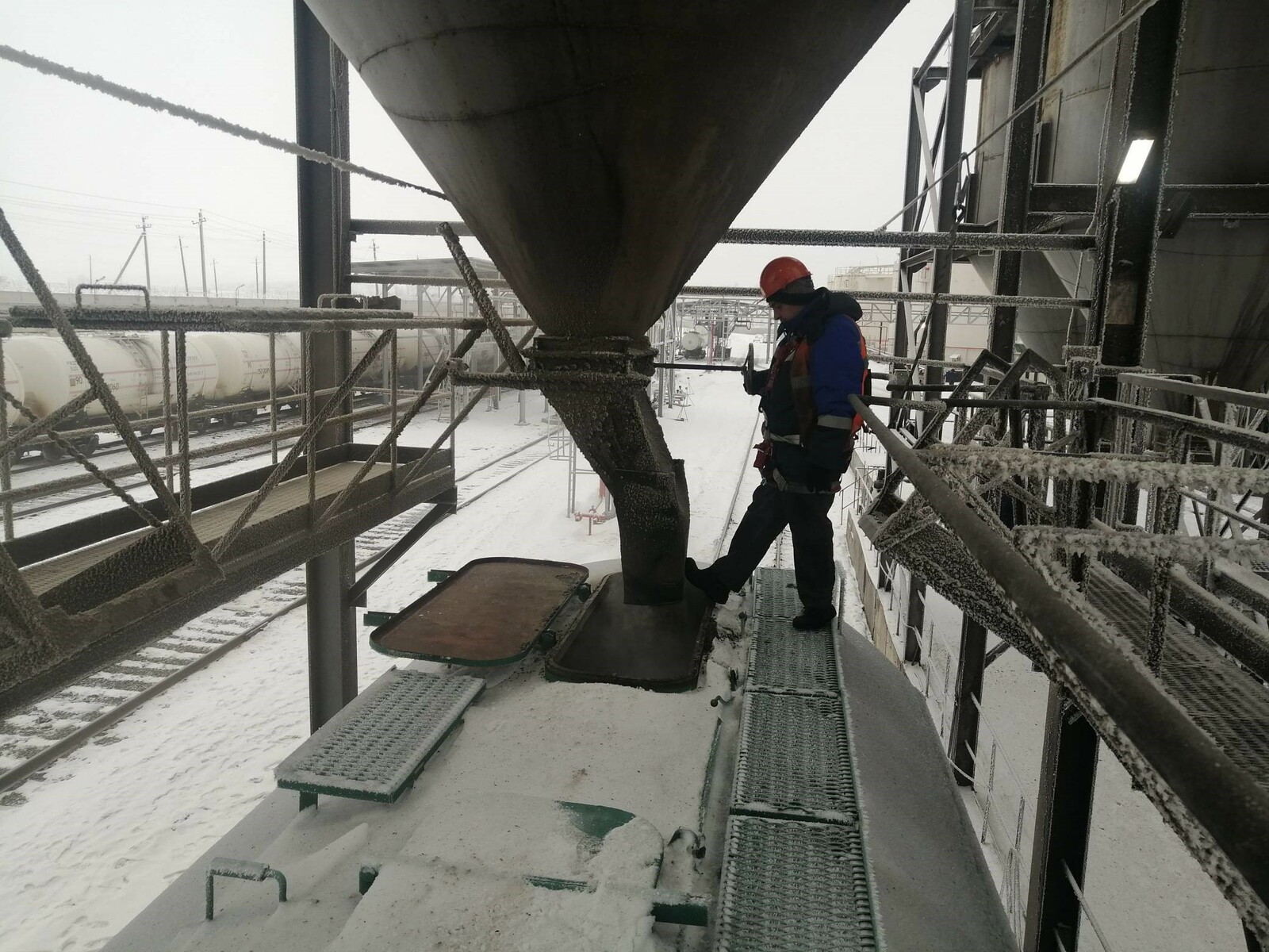 В январе маслозаводы экспортировали более 11 тыс. тонн подсолнечного шрота