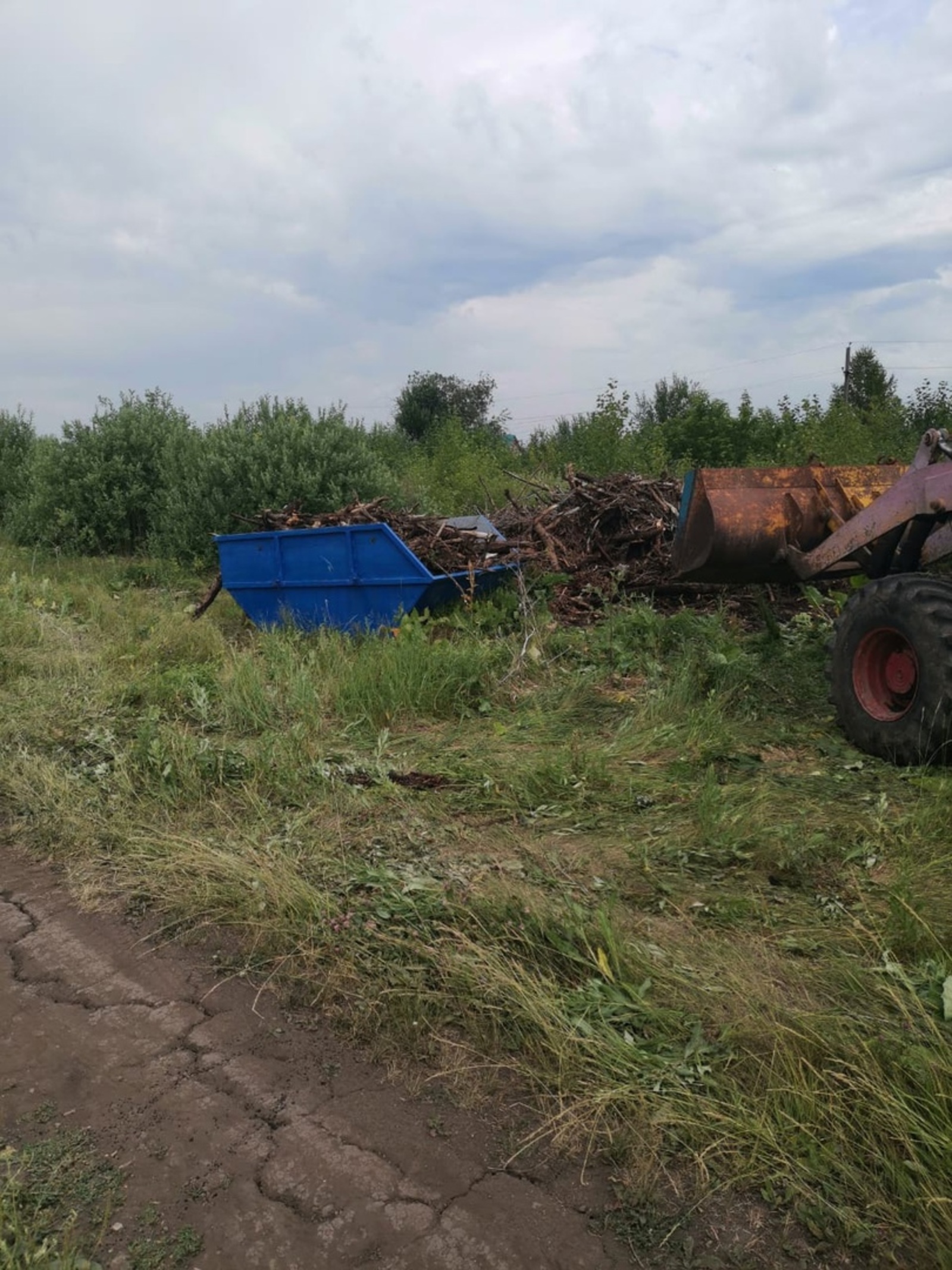 После обращения местного жителя к Радию Хабирову в селе Верхний Изяк вывезли ветки и деревья из-под линий электропередач