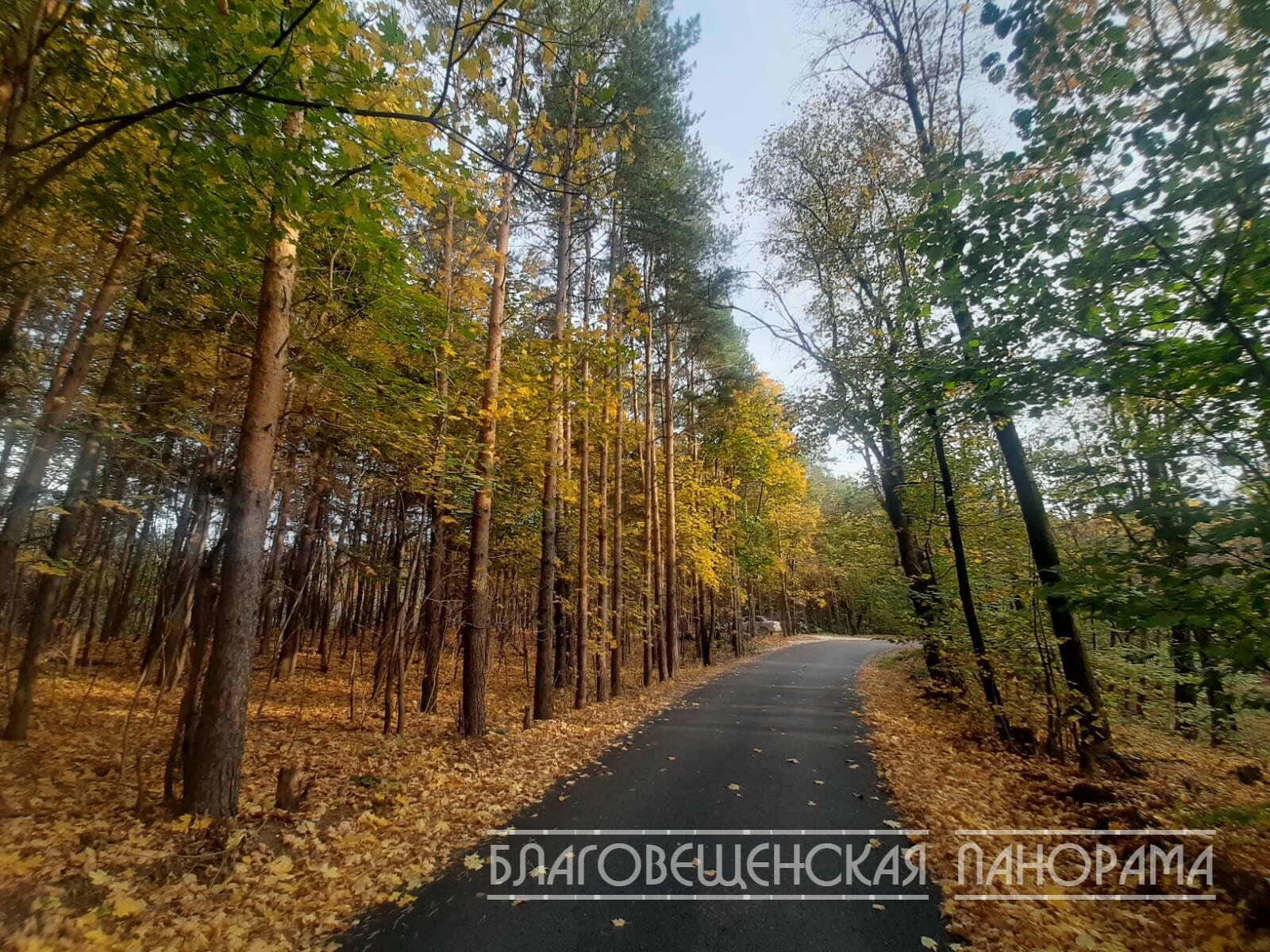 К садам Благовещенска отремонтировали дорогу