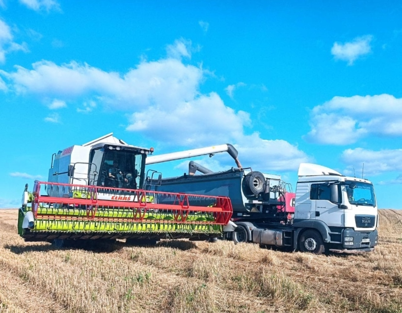 В Благовещенском районе продолжается уборка зерновых