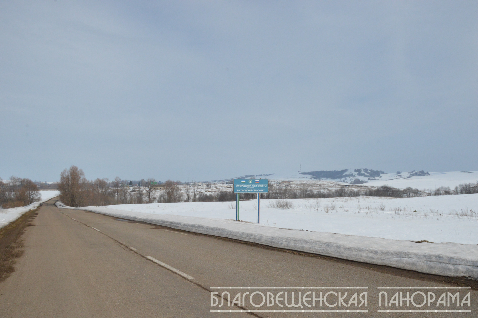 Четыре женщины, лебедь и мечта