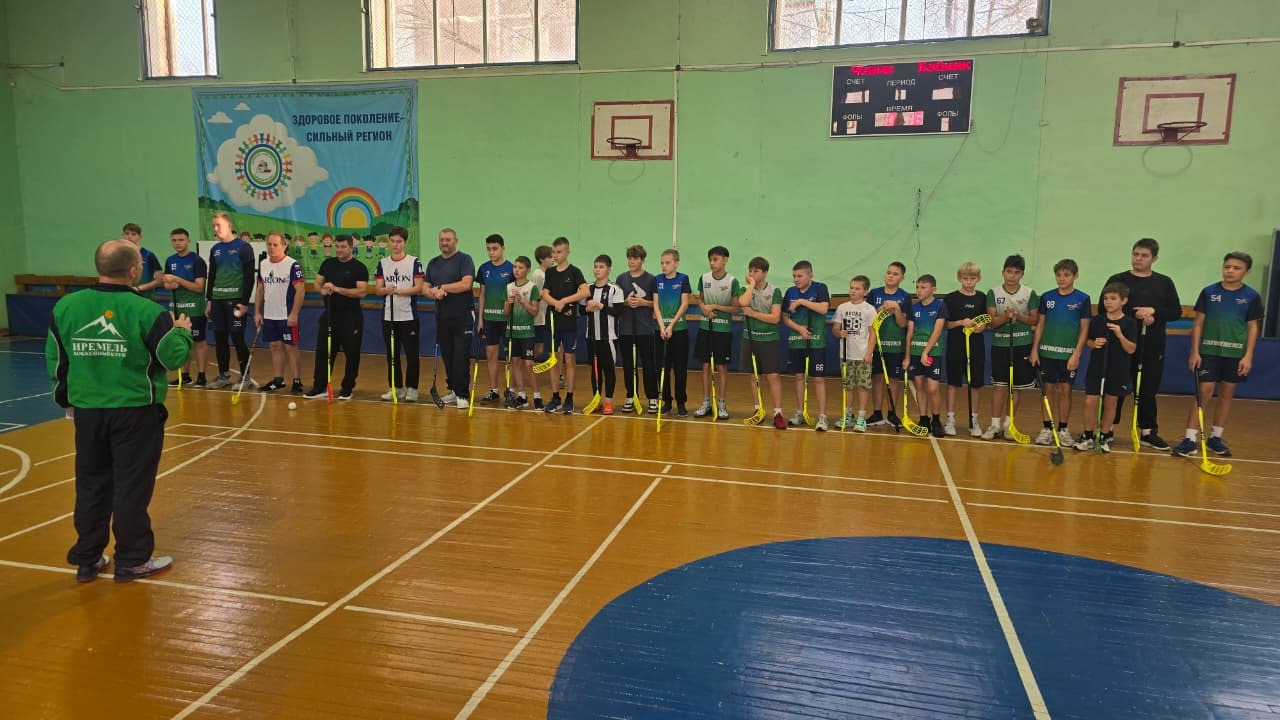 Турнир  в честь Дня народного единства