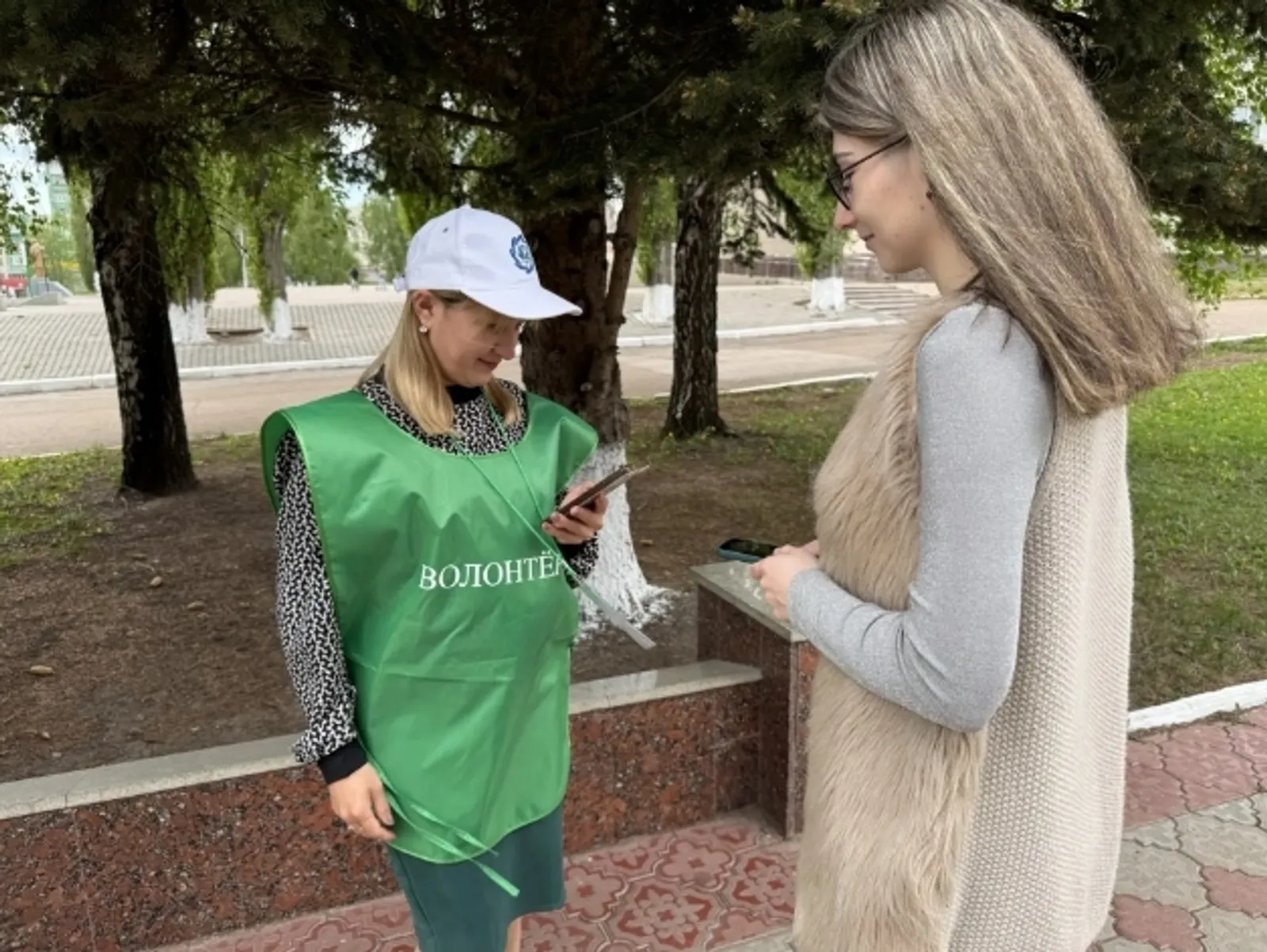 Благовещенцы голосуют за благоустройство родного города