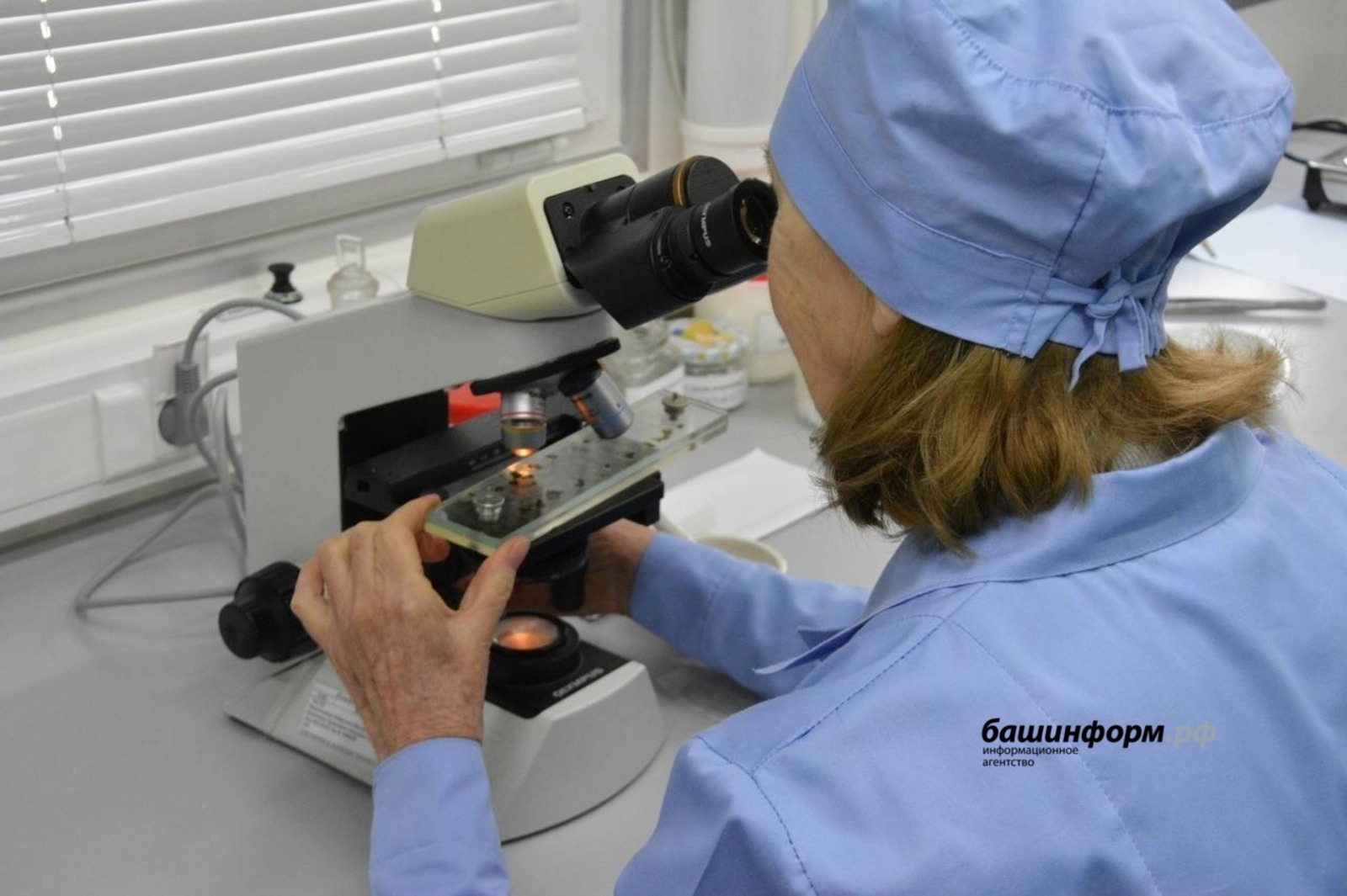 О поддержке «медовой» отрасли рассказал глава Башкирии