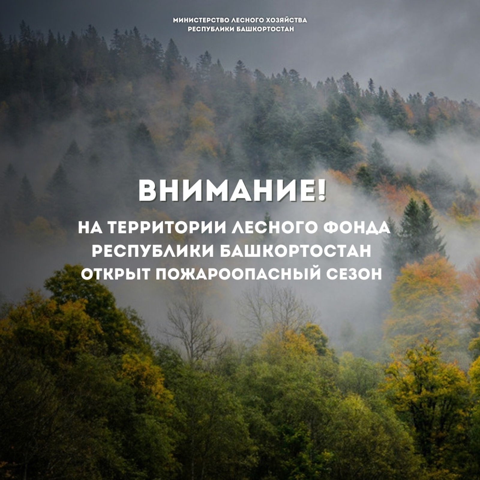 В лесах Республики Башкортостан действует пожароопасный сезон