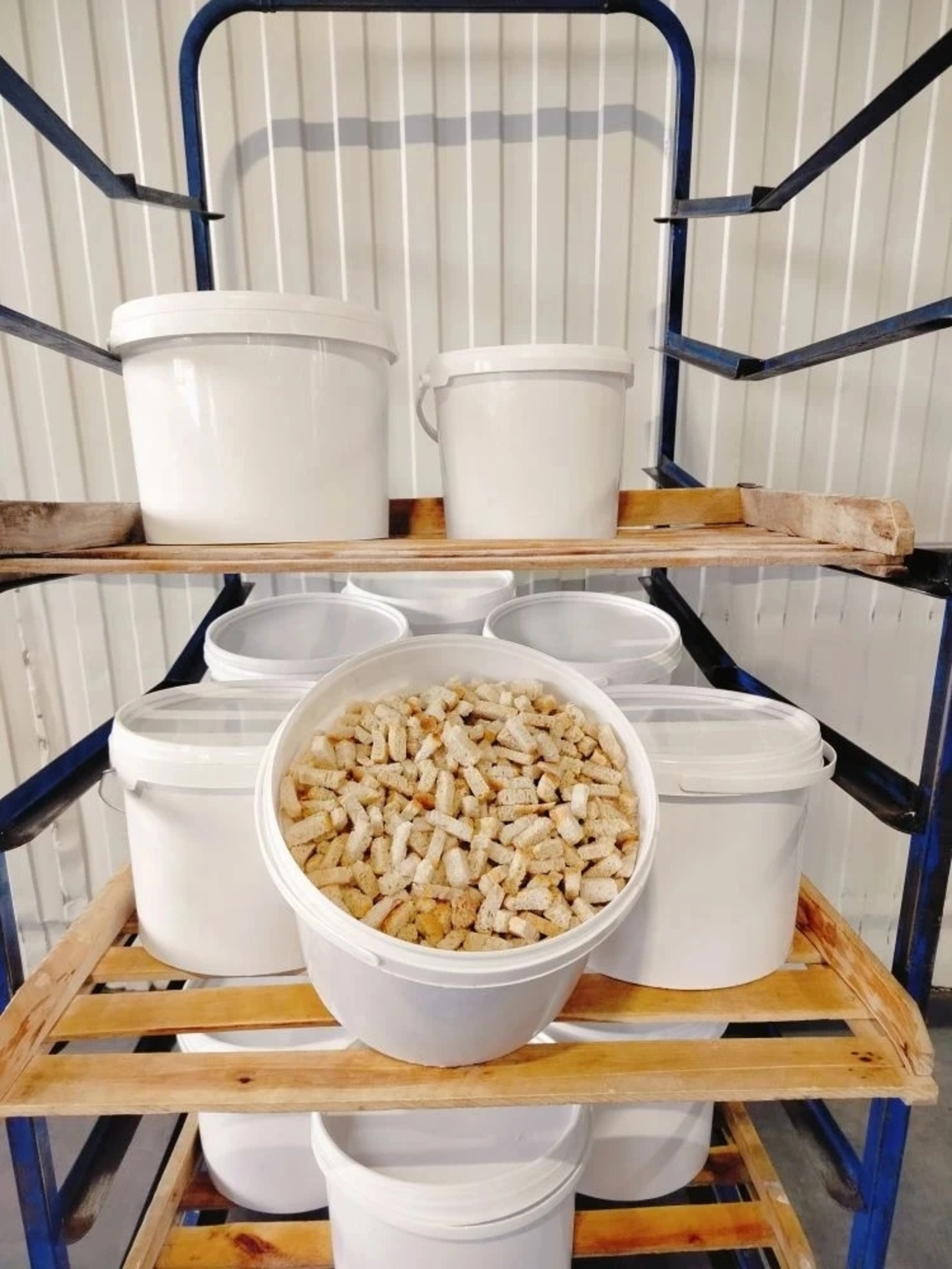 Защитникам – с заботой